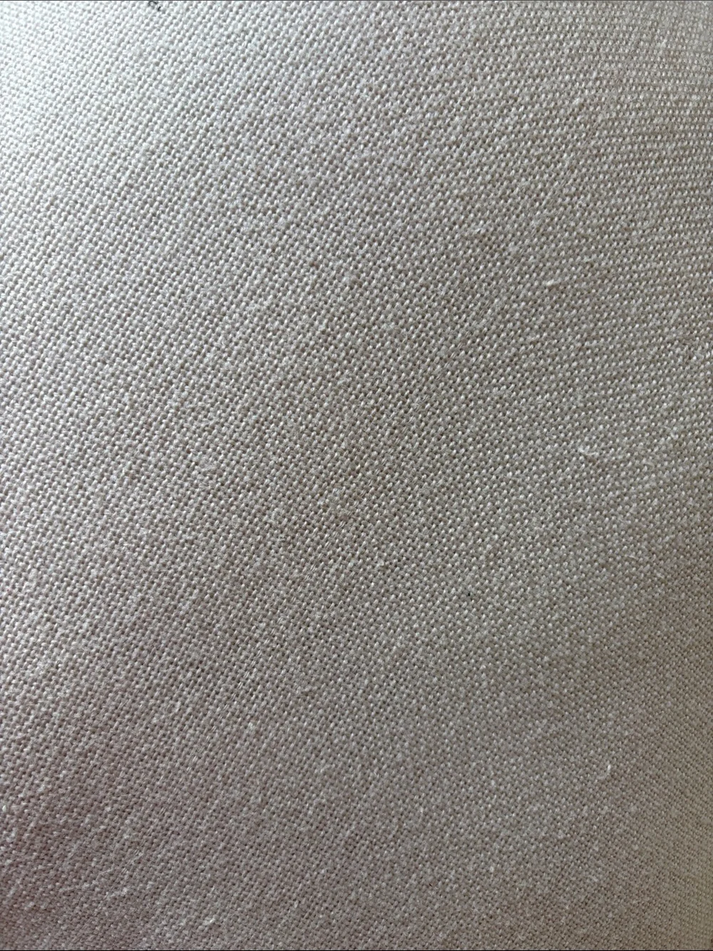 World Market Decorative Pillow